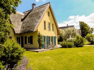 Reetdachhaus Kranich mit Schwimmteich in Krienke - Krienke - 8