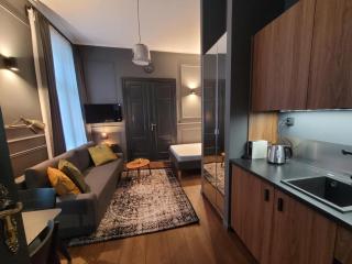 Hej Bydgoszcz - Apartament LUX przy Starym Rynku - Bydgoszcz - 7