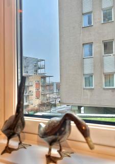 City apartment rentals, Solsiden - Trondheim - 3