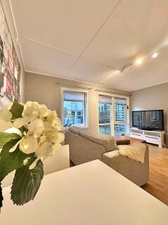 City apartment rentals, Solsiden - Trondheim - 8