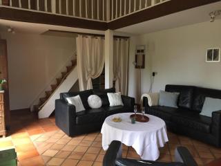 Maison meublée à la campagne - Saint-Sulpice-de-Faleyrens - 1