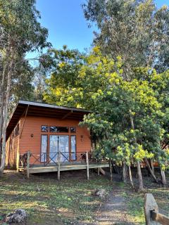Cabañas Refugio el Ermitaño - Angol - 2