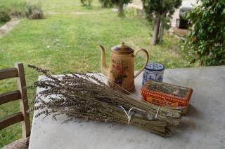 La Collina Tuscan stone cottage - Soci - 5