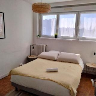 Appartement lumineux 3 chambres - Villeurbanne Gratte Ciel - Villeurbanne - 8