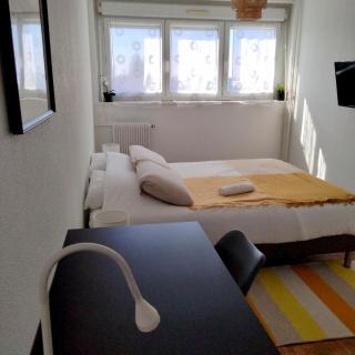 Appartement lumineux 3 chambres - Villeurbanne Gratte Ciel - Villeurbanne - 9