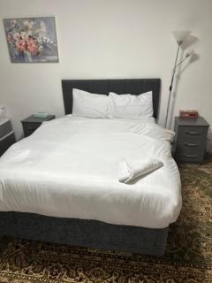Lux 2 Bed apartment in Portman square - Londra - 0