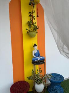 California Nest - Tezpur - 7