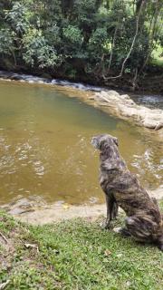 Pousada Fronteira - 8