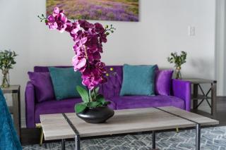 Purple Rain Spacious 2BR 2BA 2 King Beds Gym WFH - Whitestown - 6