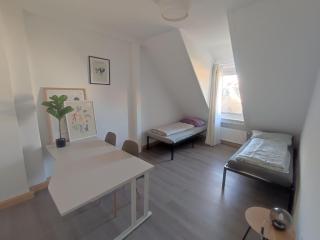 Big, Cozy and central apartment 24 h check in - 2