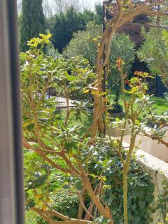 MAS Sun villa famille en campagne - Althen-des-Paluds - 5