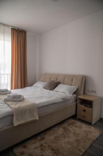 NexuS Apartments - Sibiu - 7