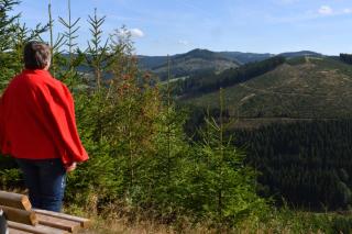 Berghotel Hoher Knochen - Winterberg - 3