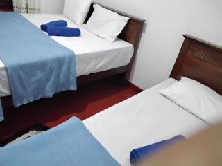 New Mount Villa - Ella - 3