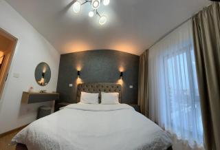 Sofia Q Apartment - Timişoara - 8