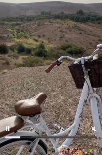 Medina Marrakech Life - 2