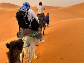 Merzouga Experience Camp - 1
