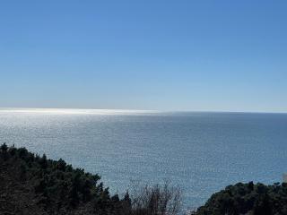 SOHO Apartments - Ulcinj - 2