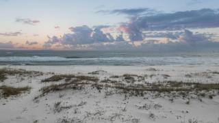 Peace Of Mind - Gulf Shores - 6