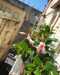 Santa Chiara Inn - Naples - 6