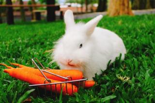 Cabana Montana Viva Cada Momento - 8