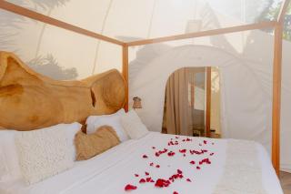 Green Land Bubble Glamping - 2