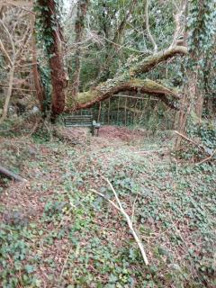 The Little Lodge - Bantry - 4
