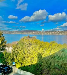 Zurich - Zentral am See Einzelzimmer - Kilchberg - 1