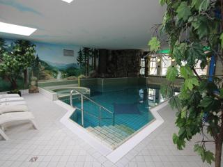 Ferienhaus an der Wiese, Tanne - Tanne - 6