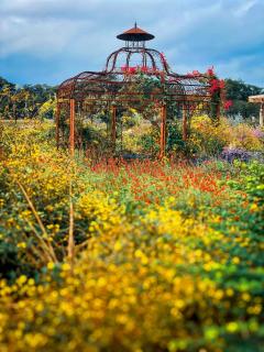 Medina River Oaks Courts - 1