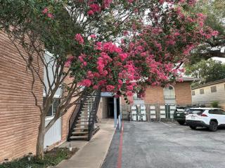 Mixed Shared Room - CoLiving Condo - Austin - 6