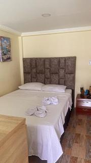 Ecohotel Java - Manizales - 5