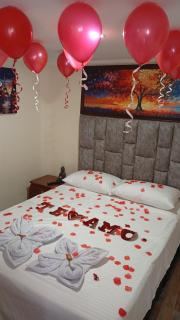 Ecohotel Java - Manizales - 3