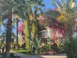 Studio with terrace - Sharm El Sheikk - 8