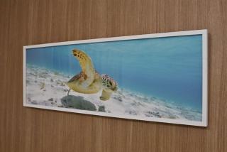 BLUESOLARE Aqua - Vacation STAY 14988v - Hirara - 3