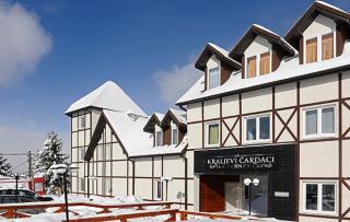 Apt in the Sky - Kopaonik Kraljevi Čardaci - Kopaonik - 8
