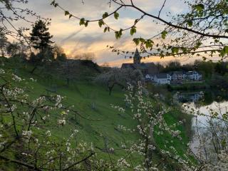 Ritterstube - Eifelstuben mit Charme, Nähe See und Burg, außergewöhnlich, Vulkaneifel - Ulmen - 8