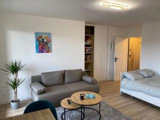Beautiful double apt family babyfoot 2 parking - Nancy - 1