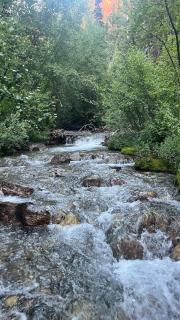 TandAA Cabin- cozy up in the Aspens on the Fairway - - 8