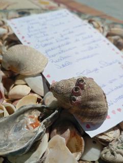 Cantinho do Sol Balneário Picarras - 6