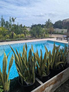 TiviTivi Paradise - 5