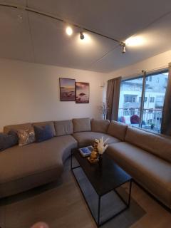 Penthouse Oslo Central - Oslo - 6