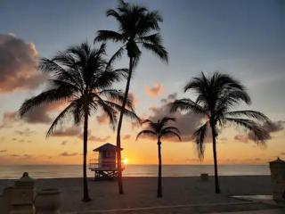 Splendid apartment for 4 pax partial view of the beach in Hollywood M - 4