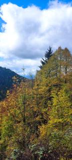 Weekend house in the Piva nature park - Plužine - 4