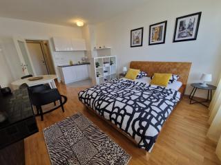 Apartman Fox - Belgrado - 6