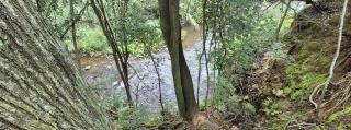 Piece of EDEN - - 9