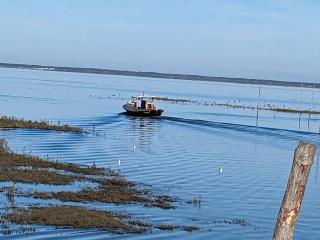 Charmante Maison Bassin d 'Arcachon - Gujan-Mestras - 9