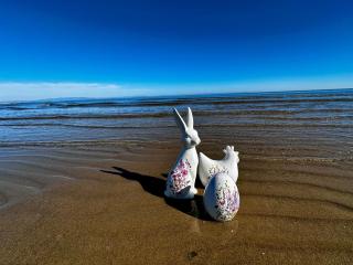 Villa Amedea - Lignano Sabbiadoro - 5