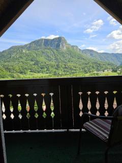 Pinus Alpinia Apartments - Bohinjska Bela - 5