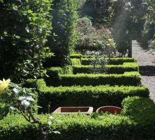 Foxglove Gardens - 2